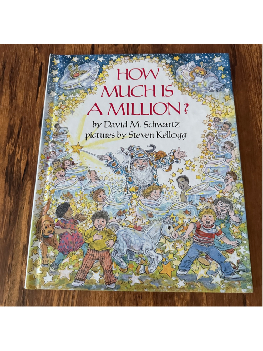 How Much Is a Million? Hardcover Book David M. Schwartz Steven Kellogg